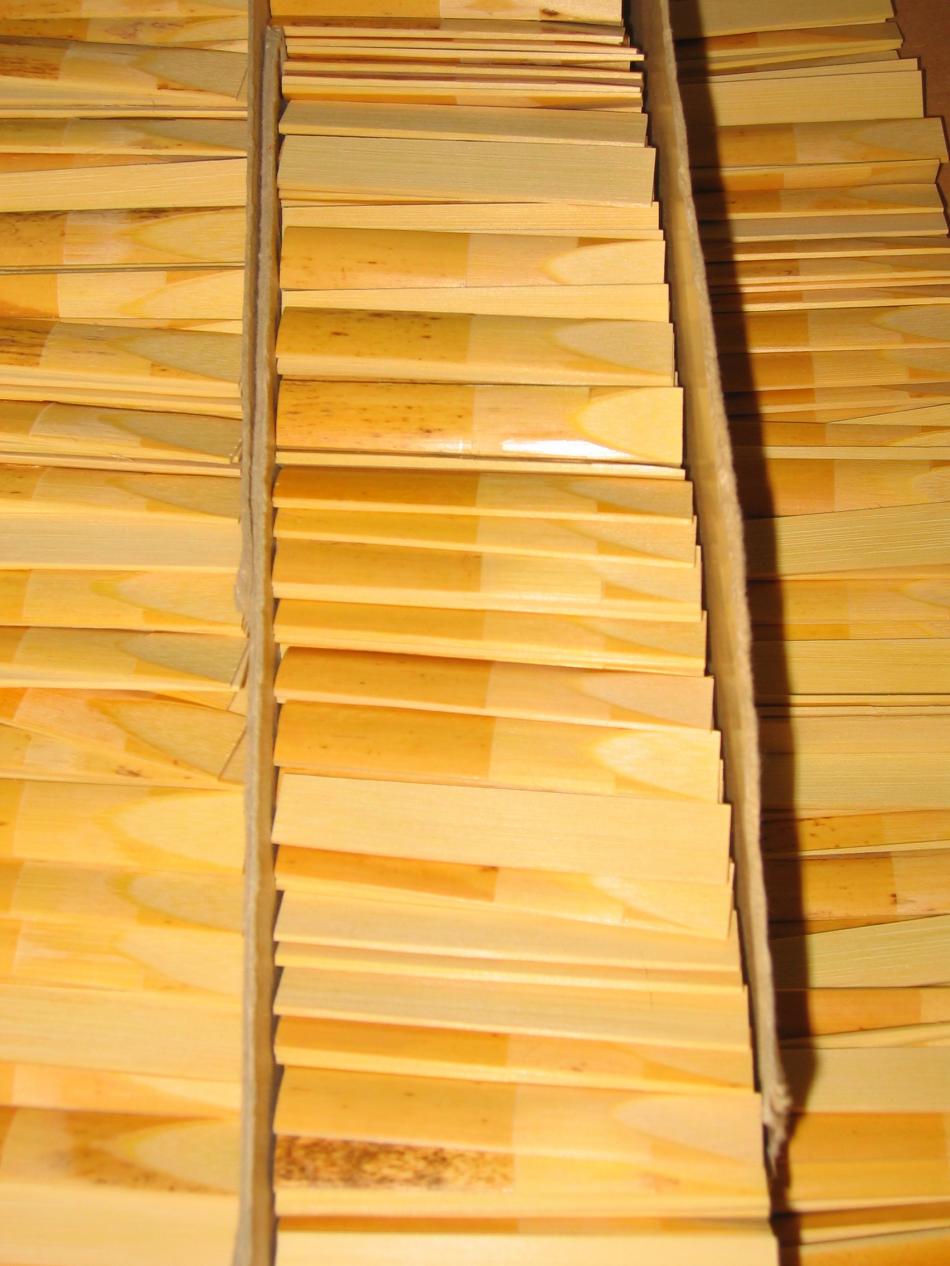 aa