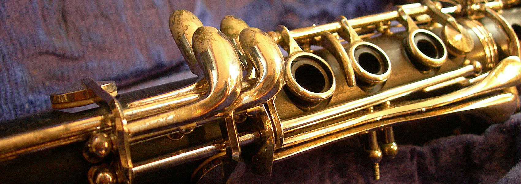 Rigotti RG5.JSB Gold Jazz Baritone Saxophone Reeds - Strength 3 Light, 5-Pack
